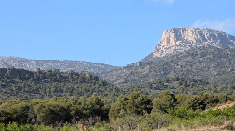 Murcia - Тотана - 3953m2