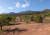 Casa de campo con terreno en venta en la España, Totana, ref: TR296213 foto