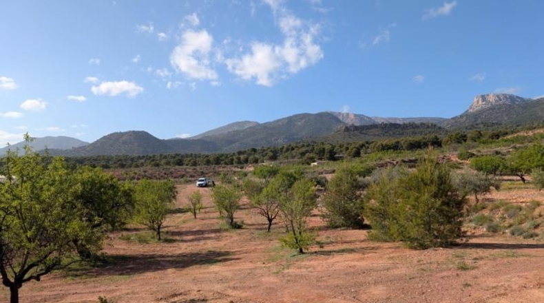 Murcia - Тотана - 3953m2