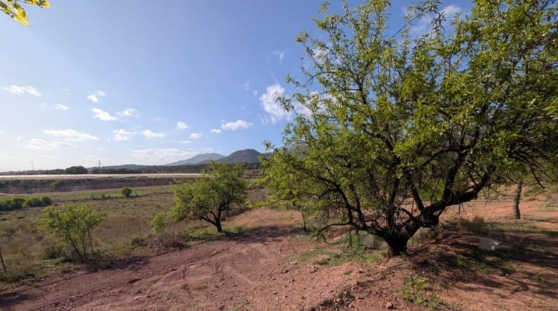 Murcia - Тотана - 3953m2