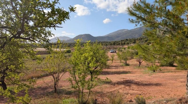 Murcia - Тотана - 3953m2