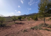 Casa de campo con terreno en venta en la España, Totana, ref: TR296213 foto
