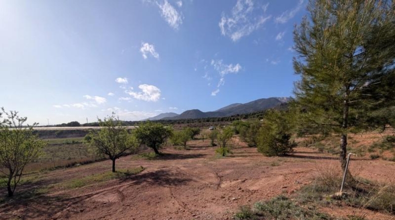 Murcia - Тотана - 3953m2