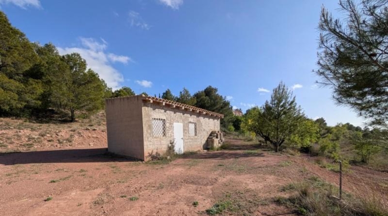 Murcia - Тотана - 3953m2