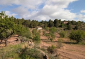 Casa de campo con terreno en venta en la España, Totana, ref: TR296213 foto