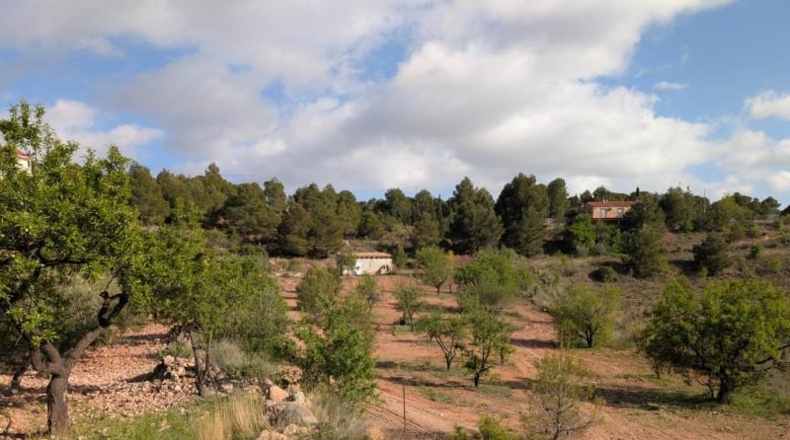 Murcia - Тотана - 3953m2