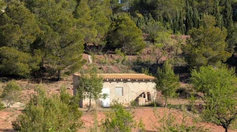 Murcia - Тотана - 3953m2