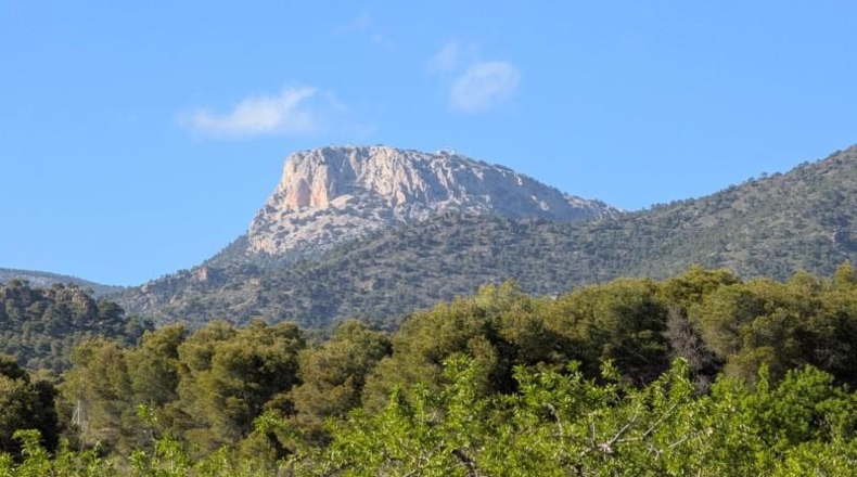 Murcia - Тотана - 3953m2