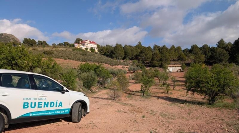 Murcia - Тотана - 3953m2