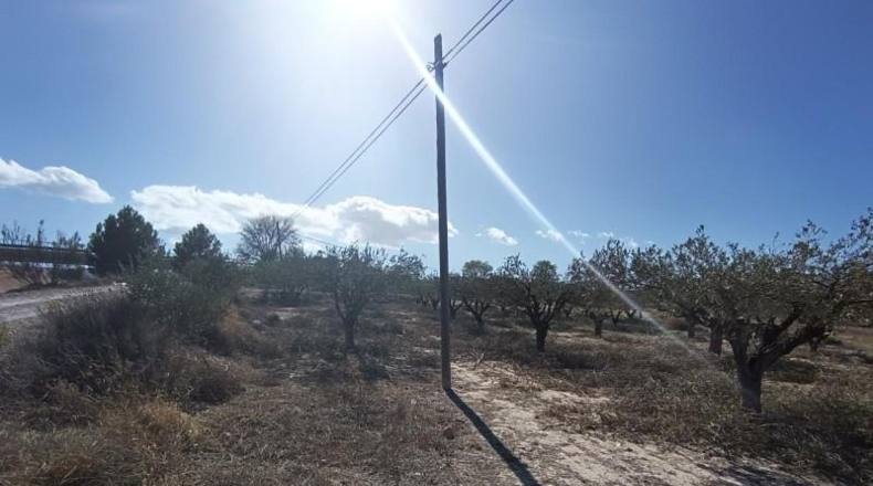 Alicante - Castalla - 11500m2