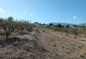 Terreny no urbanitzable en venda a la España, Castalla, ref.: TR127194 foto