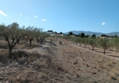 Terreny no urbanitzable en venda a la España, Castalla, ref.: TR127194 foto