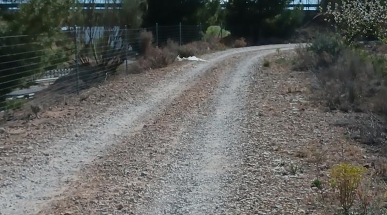 Alicante - Castalla - 11500m2