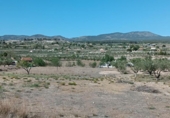 Terreny no urbanitzable en venda a la España, Castalla, ref.: TR127194 foto