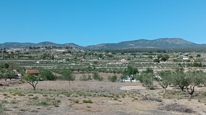 Alicante - Castalla - 11500m2