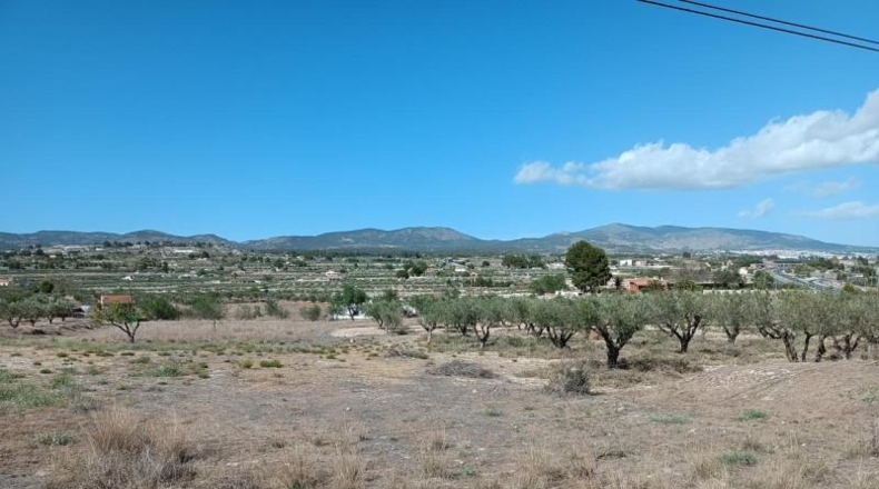 Alicante - Castalla - 11500m2