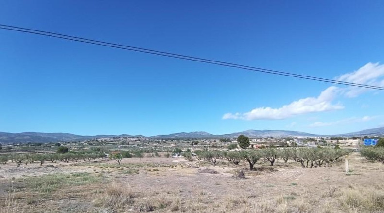 Alicante - Castalla - 11500m2