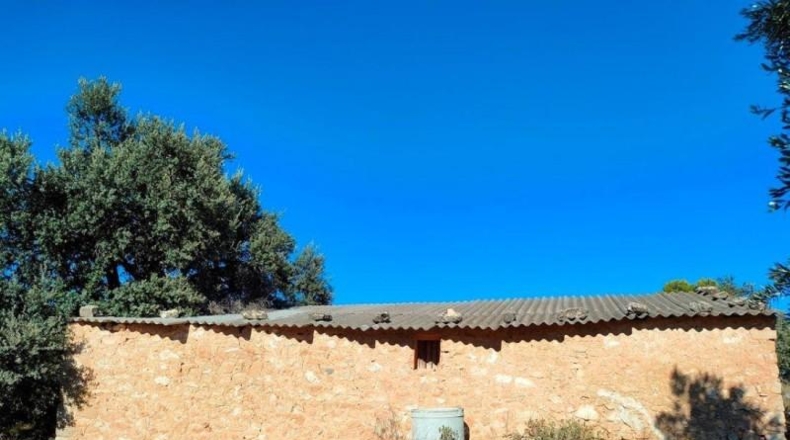 Teruel - Cretas - 28239m2