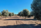 Xalet independent amb terreny en venda a la España, Queretes, ref.: TR295154 foto