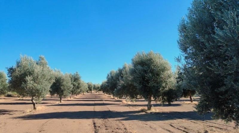 Teruel - Cretas - 28239m2