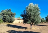 Xalet independent amb terreny en venda a la España, Queretes, ref.: TR295154 foto