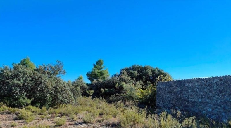Teruel - Cretas - 28239m2