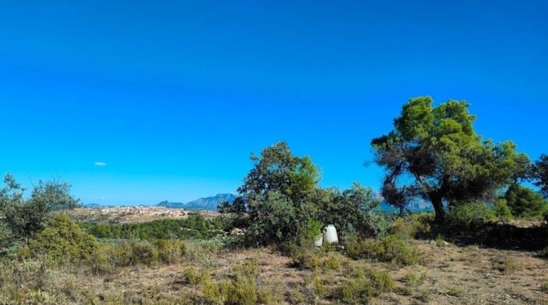 Teruel - Cretas - 28239m2