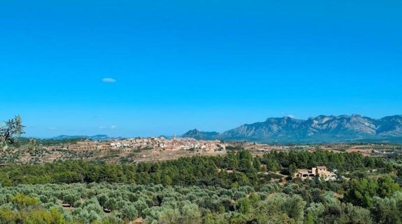 Teruel - Cretas - 28239m2