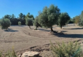 Xalet independent amb terreny en venda a la España, Queretes, ref.: TR295154 foto