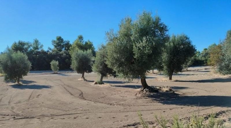 Teruel - Cretas - 28239m2