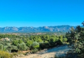 Xalet independent amb terreny en venda a la España, Queretes, ref.: TR295154 foto