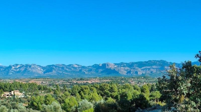 Teruel - Cretas - 28239m2