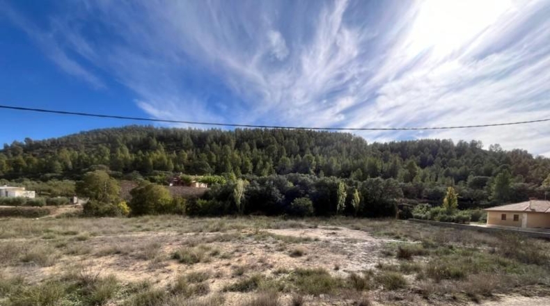 Murcia - Caravaca de la Cruz - 6080m2