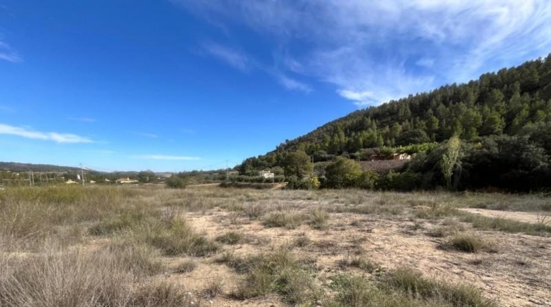 Murcia - Caravaca de la Cruz - 6080m2