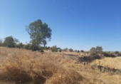 Land suitable for development for sale on España, Casar de Cáceres, ref: TR178128 photo