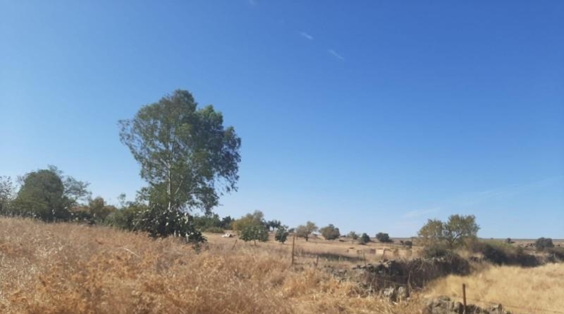 Cáceres - Casar de Cáceres - 1300m2