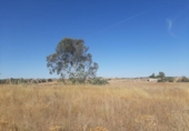 Land suitable for development for sale on España, Casar de Cáceres, ref: TR178128 photo