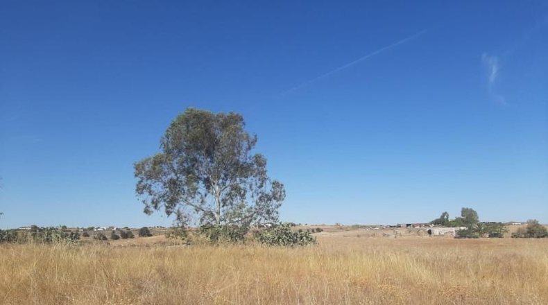 Cáceres - Casar de Cáceres - 1300m2