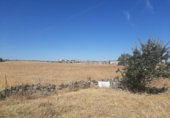 Land suitable for development for sale on España, Casar de Cáceres, ref: TR178128 photo