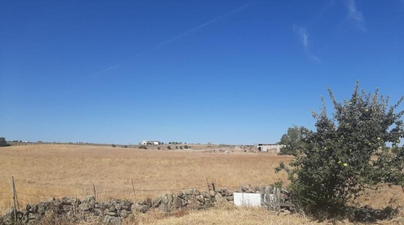 Cáceres - Casar de Cáceres - 1300m2