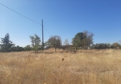Land suitable for development for sale on España, Casar de Cáceres, ref: TR178128 photo