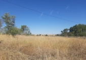 Land suitable for development for sale on España, Casar de Cáceres, ref: TR178128 photo