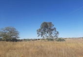 Land suitable for development for sale on España, Casar de Cáceres, ref: TR178128 photo