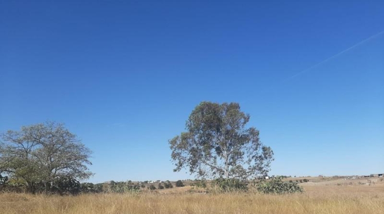 Cáceres - Casar de Cáceres - 1300m2