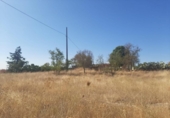 Land suitable for development for sale on España, Casar de Cáceres, ref: TR178128 photo