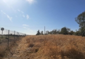 Land suitable for development for sale on España, Casar de Cáceres, ref: TR178128 photo