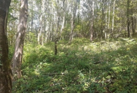 Foto 9