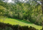 Finca rústica en venda a la España, Veguilla, ref.: TR299792 foto