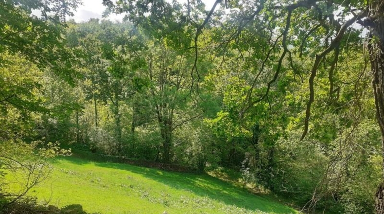 Cantabria - Veguilla - 9806m2
