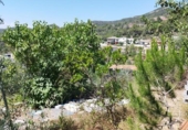 Sòl urbà en venda a la España, el Vilar, ref.: TR132219 foto